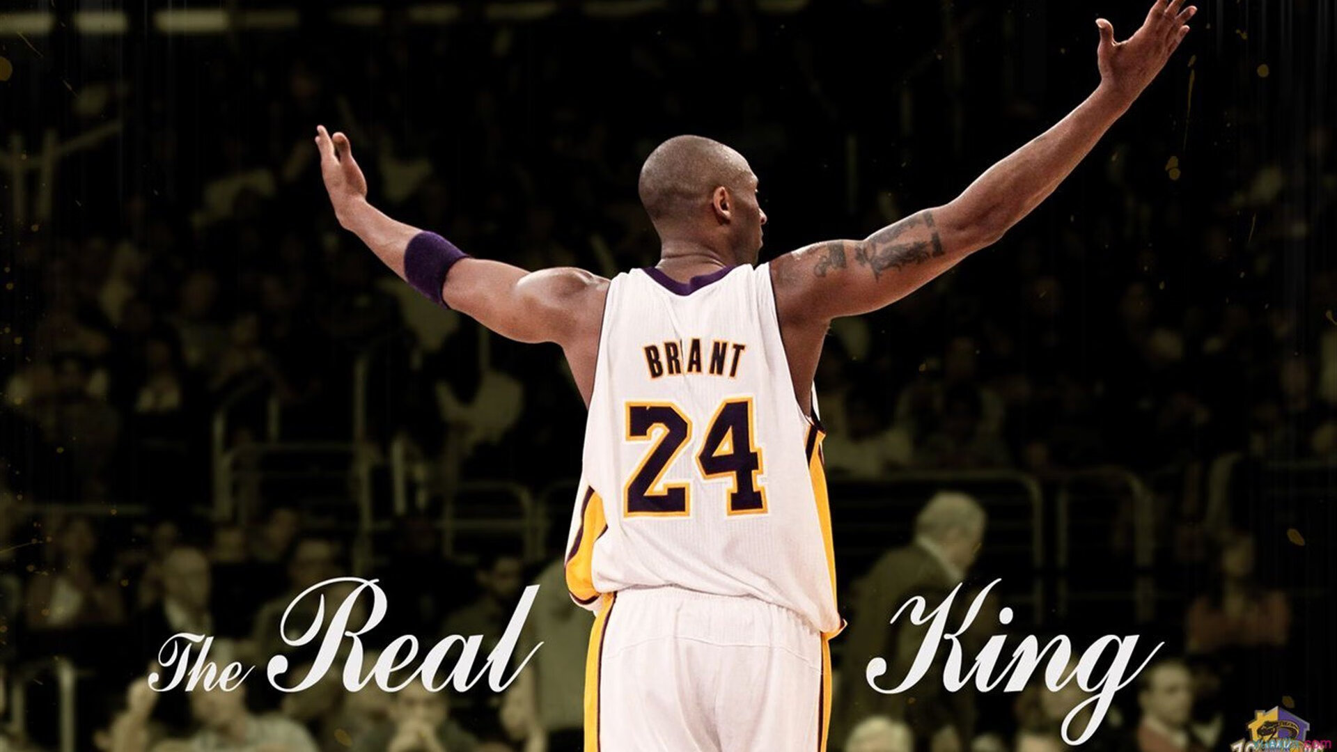 CBA赛场的中国速度令人震撼，国内cba